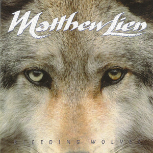 柠檬福利精品视频导航
